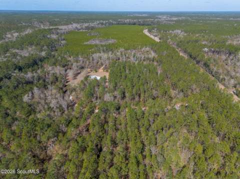 12321 Ga-185, Saint George GA - photo 13 of 57