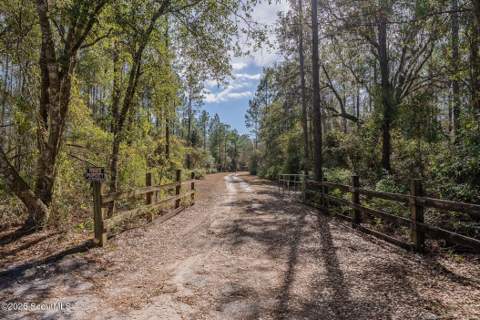 12321 Ga-185, Saint George GA - photo 14 of 57