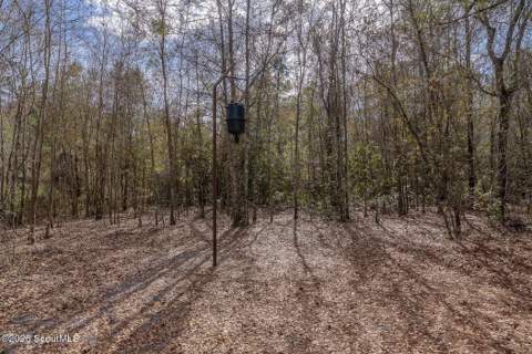 12321 Ga-185, Saint George GA - photo 15 of 57