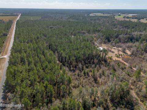 Tract 2 - 12321 Highway 185, Saint George GA - photo 12 of 30