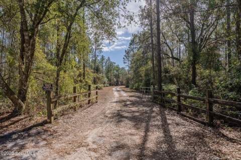 Tract 2 - 12321 Highway 185, Saint George GA - photo 13 of 30