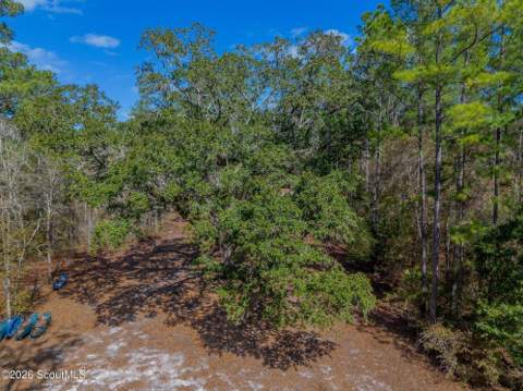 Tract 1 - 12321 Highway 185, Saint George GA - photo 11 of 48
