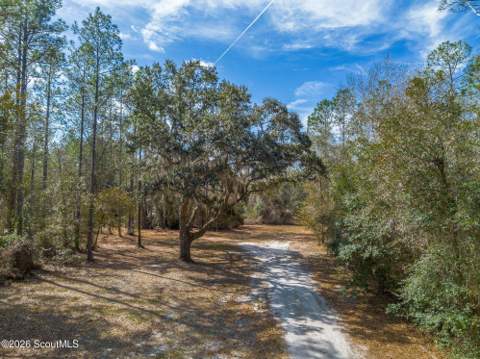 Tract 1 - 12321 Highway 185, Saint George GA - photo 13 of 48