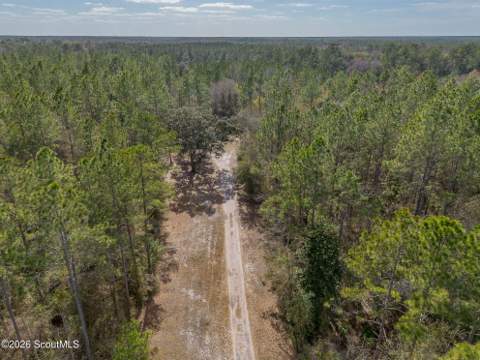 Tract 1 - 12321 Highway 185, Saint George GA - photo 14 of 48