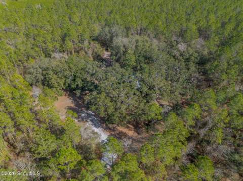 Tract 1 - 12321 Highway 185, Saint George GA - photo 15 of 48