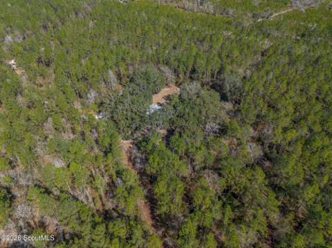 Tract 1 - 12321 Highway 185, Saint George GA - photo 16 of 48