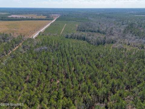 Tract 1 - 12321 Highway 185, Saint George GA - photo 17 of 48