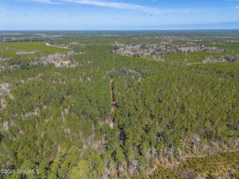 Tract 1 - 12321 Highway 185, Saint George GA - photo 18 of 48