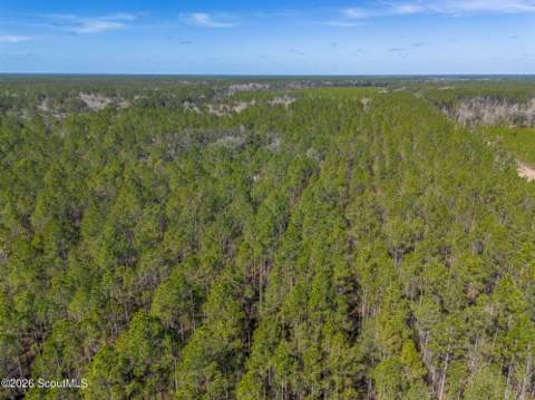 Tract 1 - 12321 Highway 185, Saint George GA - photo 19 of 48