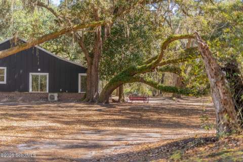 Tract 1 - 12321 Highway 185, Saint George GA - photo 20 of 48