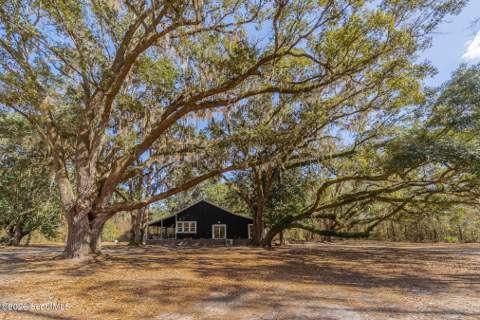 Tract 1 - 12321 Highway 185, Saint George GA - photo 21 of 48