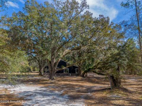 Tract 1 - 12321 Highway 185, Saint George GA - photo 22 of 48
