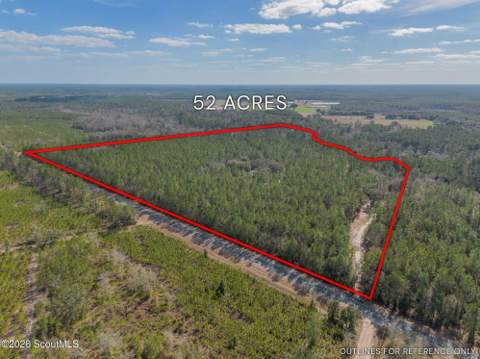 Tract 1 - 12321 Highway 185, Saint George GA - photo 24 of 48