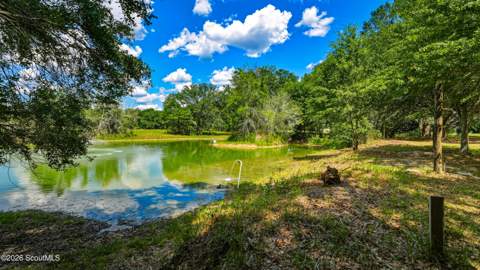 0 Ritch Church Road, Screven GA - photo 15 of 43