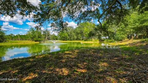 0 Ritch Church Road, Screven GA - photo 16 of 43
