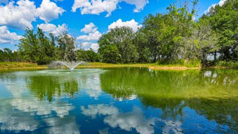 0 Ritch Church Road, Screven GA - photo 17 of 43