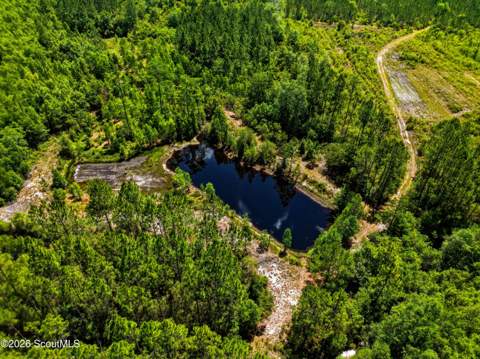 88 Minnesota Road, Screven GA - photo 8 of 52