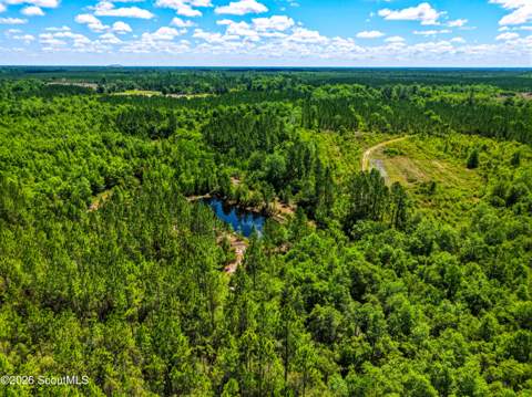 88 Minnesota Road, Screven GA - photo 9 of 52