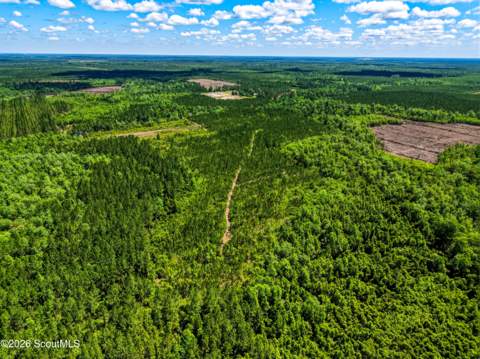 88 Minnesota Road, Screven GA - photo 11 of 52
