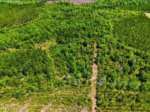 88 Minnesota Road, Screven GA - photo 13 of 52