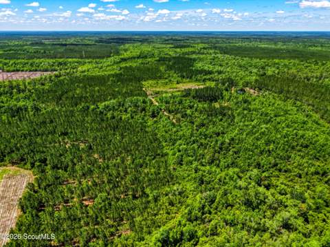 88 Minnesota Road, Screven GA - photo 14 of 52