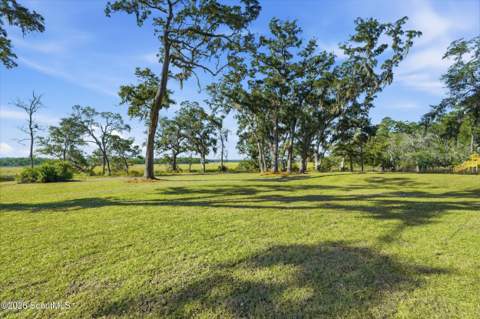 3551 Julienton Drive, Townsend GA - photo 24 of 34