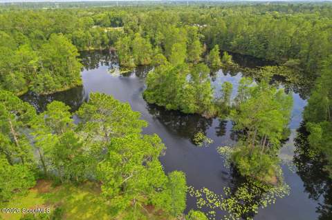 397 Oran Way, Jesup GA - photo 7 of 42