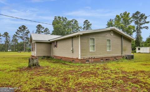 4240 White Tail Way, Blackshear GA - photo 10 of 12