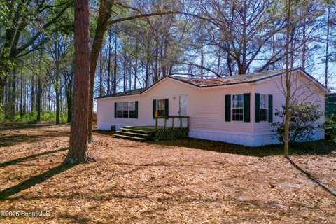 3259 W Horseshoe Road, home for sale in Blackshear 31516