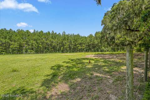 1359 Forest Island Drive, Townsend GA - photo 23 of 23