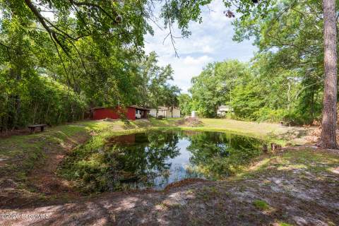120 Baumgardner Circle, Brunswick GA - photo 21 of 97