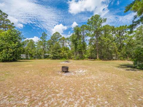 252 Baker Hill Road, Hortense GA - photo 18 of 23