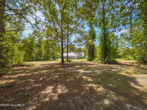 252 Baker Hill Road, Hortense GA - photo 23 of 23