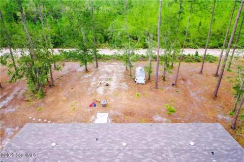 2101 Albert Gibson Road, Hortense GA - photo 17 of 40