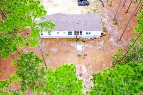 2101 Albert Gibson Road, Hortense GA - photo 19 of 40