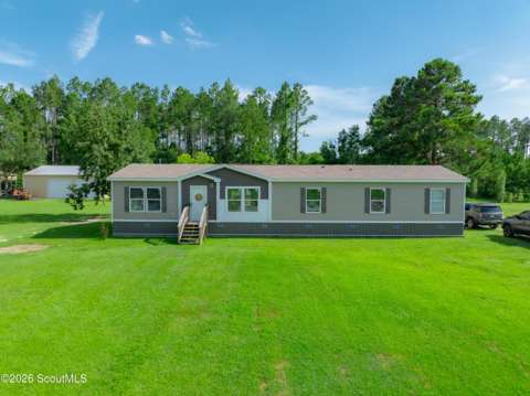 4431 Big House Road, home for sale in Blackshear 31516