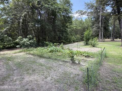 325 Creekview Drive, Hortense GA - photo 12 of 31