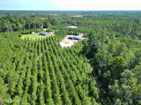 991 Bradwell Dunham Road, Ludowici GA - photo 14 of 49