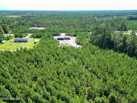 991 Bradwell Dunham Road, Ludowici GA - photo 15 of 49