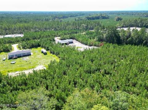 991 Bradwell Dunham Road, Ludowici GA - photo 16 of 49