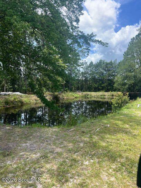 1670 Astoria Road, Waycross GA - photo 8 of 9