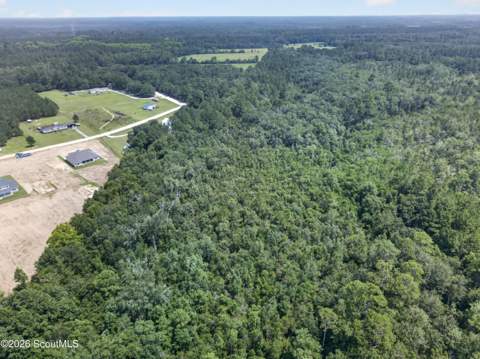 481 S T Morris Road, Ludowici GA - photo 6 of 47