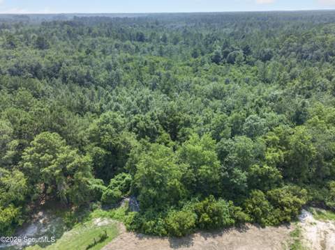 481 S T Morris Road, Ludowici GA - photo 7 of 47