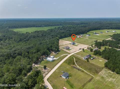 523 S T Morris Road, Ludowici GA - photo 9 of 59