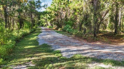 321 Thomas Street, Odum GA - photo 6 of 90