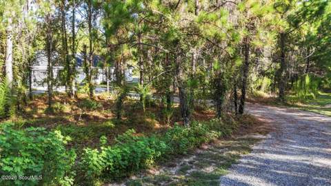 321 Thomas Street, Odum GA - photo 7 of 90
