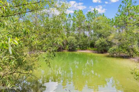 993 Baker Hill Road, Hortense GA - photo 9 of 61