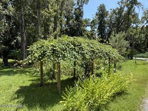 232 S Harrington Road, St. Simons Island GA - photo 11 of 21