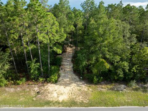 833 Pine Ridge Trail, Blackshear GA - photo 16 of 21