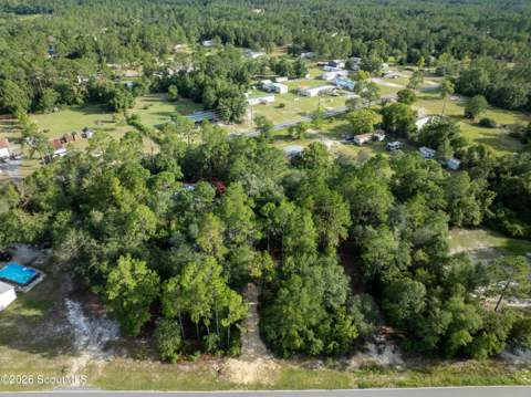 833 Pine Ridge Trail, Blackshear GA - photo 17 of 21